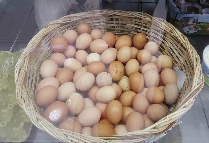 Kırklareli Organik Köy Yumurtası